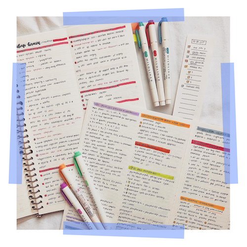 How to plan a revision timetable: Part 2