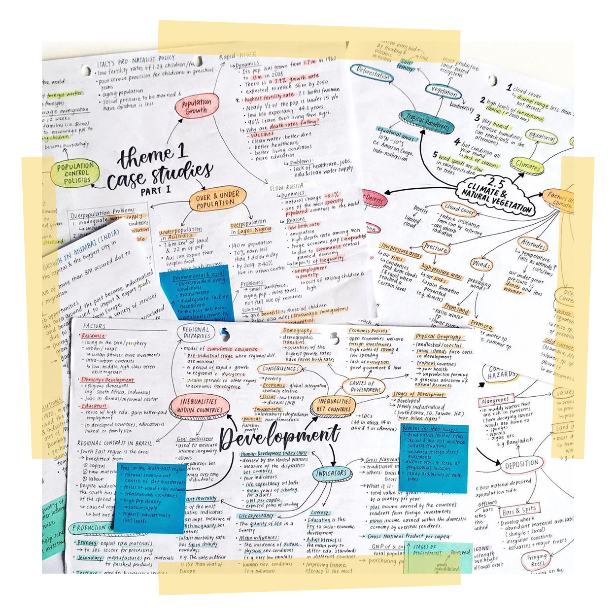 13 Productive and useful things to do in your free time
