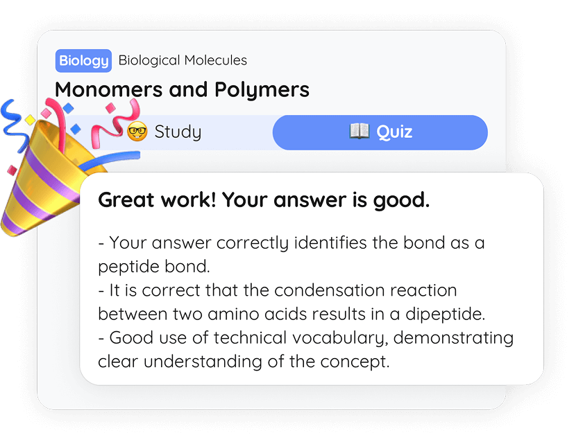 Answer feedback